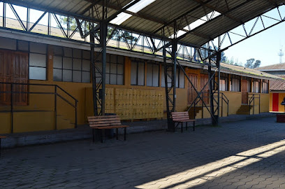 Liceo Hualañé
