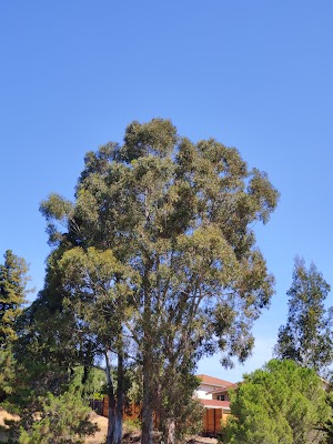 Crestview Park - photo 26