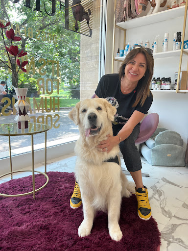 Pensioni per cani e dog hotel a Toelettatura FELLOWS Dogs & Cats Boutique Brescia
