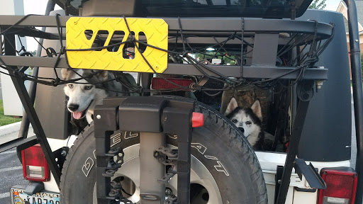 Discount Store «Dollar General», reviews and photos, 321 Fairfax Pike, Stephens City, VA 22655, USA