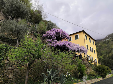 Agriturismo il sogno Via Cona, 94, 16045 Lorsica GE, Italia