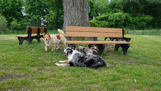 Subaru Dealer «Brilliance Subaru», reviews and photos, 1500 N Randall Rd, Elgin, IL 60123, USA