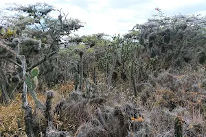 Protected Forest Recreational Park and Jerusalem image