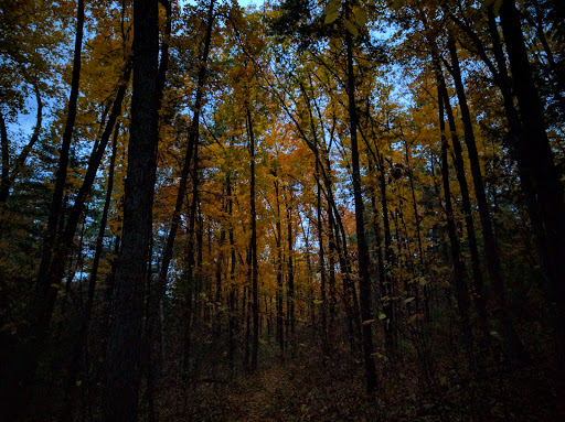 Park «Roby Park», reviews and photos, Spit Brook Rd, Nashua, NH 03062, USA