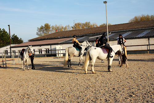 Centre équestre Haras de la Canteraine Haubourdin