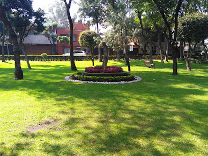 Servicios de Jardinería en CDMX