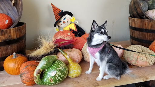 Home Improvement Store «The Home Depot», reviews and photos, 28033 Newhall Ranch Rd, Santa Clarita, CA 91355, USA