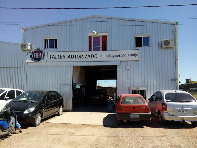 TALLER AUTODIAGNÓSTICO ARAUJO