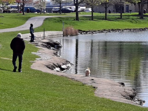 Park «Lake Park», reviews and photos, 2100-2198 Lee St, Des Plaines, IL 60018, USA