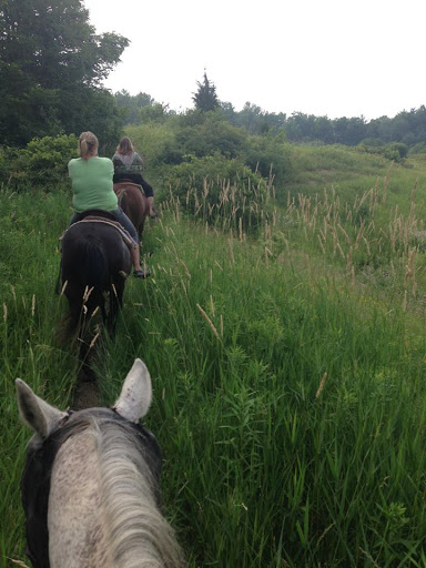 Big Creek Horse Stables - Horseback Riding