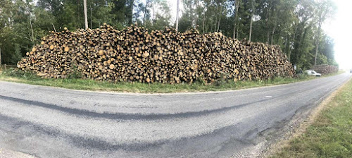 Magasin de bois de chauffage Guilloteau Bois Saint-Sauveur-Marville