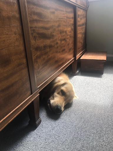 Auto Insurance Agency «State Farm- Jeffrey B Conley Insurance», reviews and photos