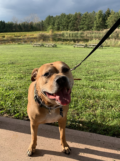 Vineyard «Vermilion Valley Vineyards», reviews and photos, 11005 Gore Orphanage Rd, Wakeman, OH 44889, USA