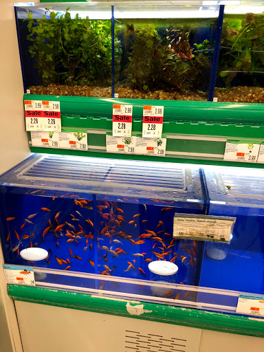 Pet Supply Store «Pet Supplies Plus», reviews and photos, 5092 Mayfield Rd, Lyndhurst, OH 44124, USA