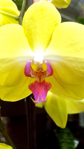 Shopping Mall «Canyon Crest Towne Centre», reviews and photos, 5227 Canyon Crest Dr, Riverside, CA 92507, USA