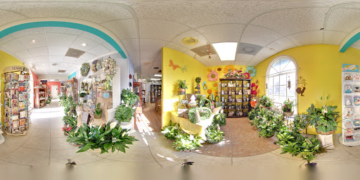 Florist «Oviedo Florist», reviews and photos, 1419 W Broadway St, Oviedo, FL 32765, USA