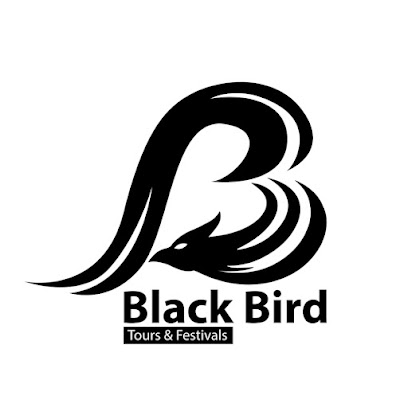 Black Bird Tours
