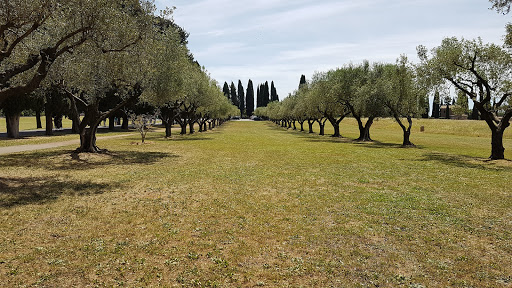 Parco Regionale dell'Appia Antica