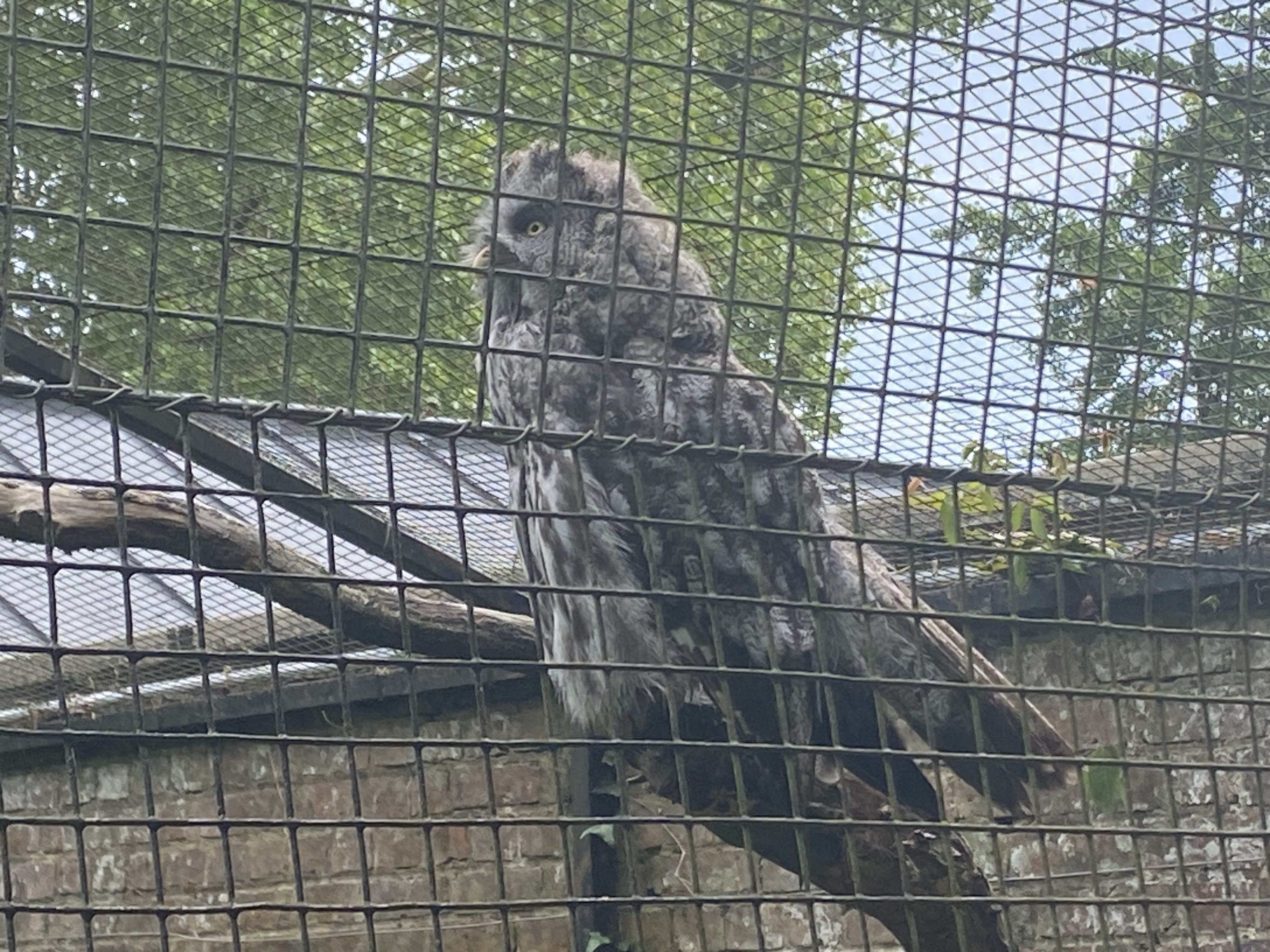 Photo n° 31 de l'avis de Mickael.e fait le 11/08/2023 à 05:54