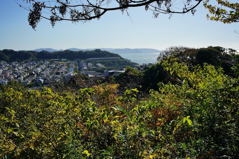 相模湾の眺望