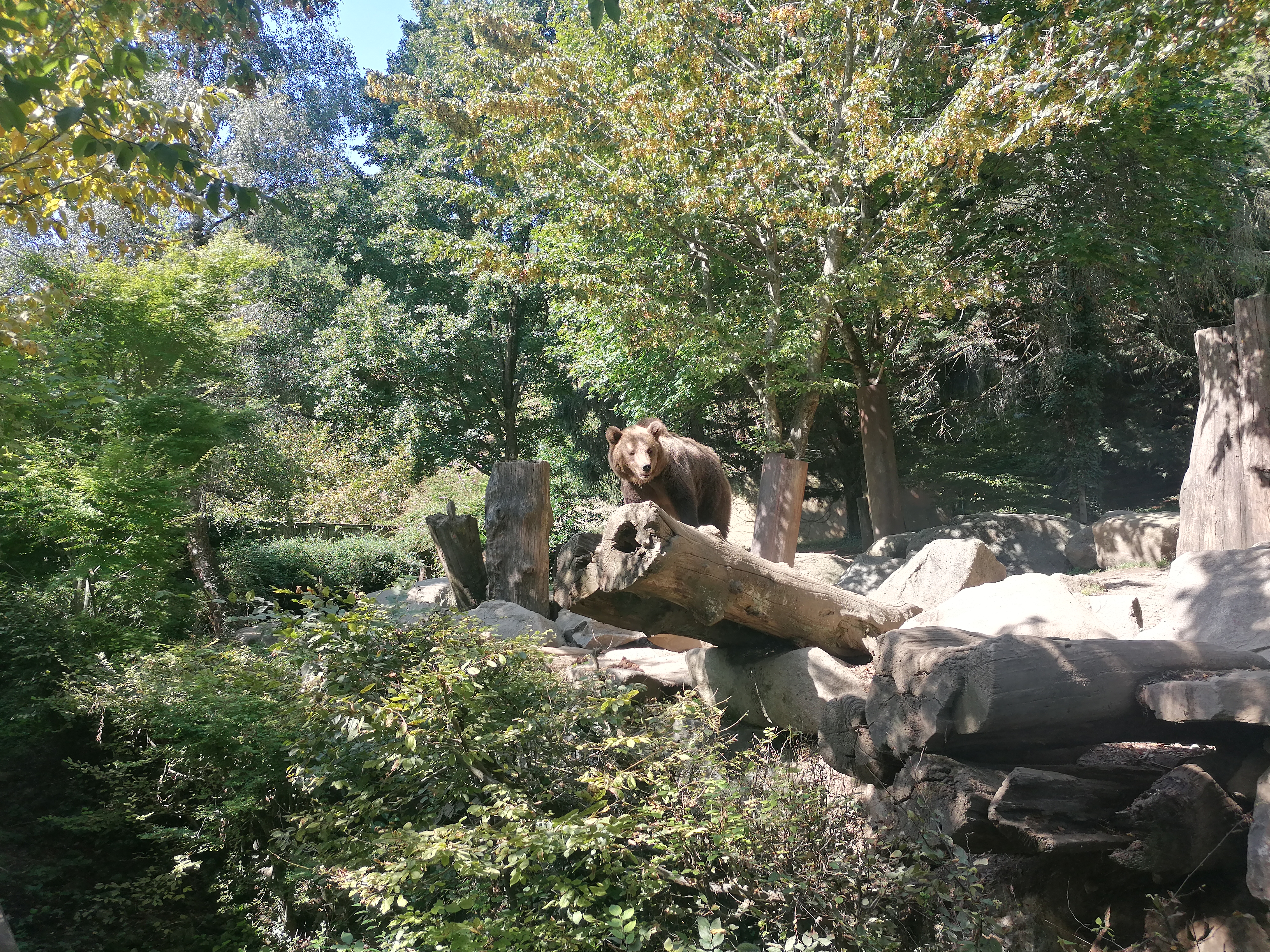 Photo n° 32 de l'avis de Gilles.. fait le 23/08/2023 à 12:57