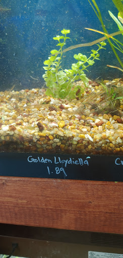 Pet Store «Southside Pet Shop», reviews and photos, 7031 Southside Dr, Louisville, KY 40214, USA