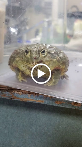 Pet Store «Pet Cove», reviews and photos, 820 E Center St, Kingsport, TN 37660, USA