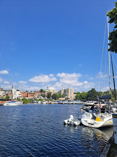 Brockville Waterfront Veterinary Services image