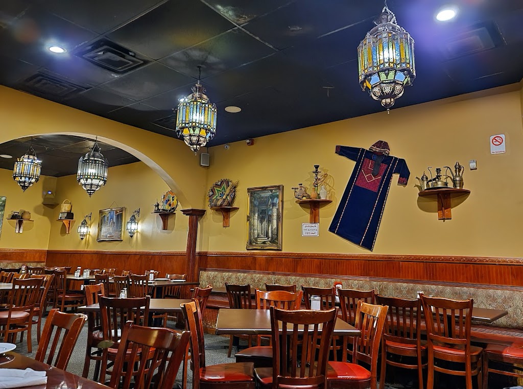 Al-Basha Quick Serve 07503