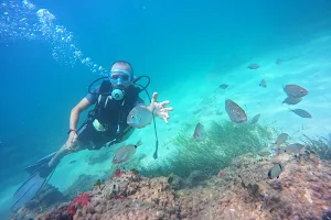 aminos Djerba sub image