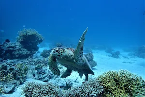 Duiken-Hurghada Seagate diving center image