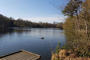Buchan Country Park image