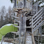 Photo n°4 de l'avis de Cosimo.a fait le 11/01/2024 à 07:46 sur le  Rifugio Malga Saraghes à San Ciascian