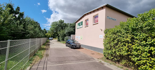 Tierheim Wolmirstedt unter Wolmirstedt, Sachsen-Anhalt