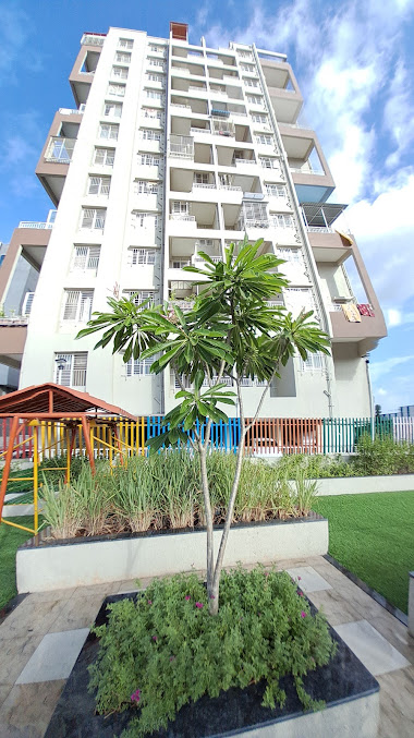 Google Maps image 15