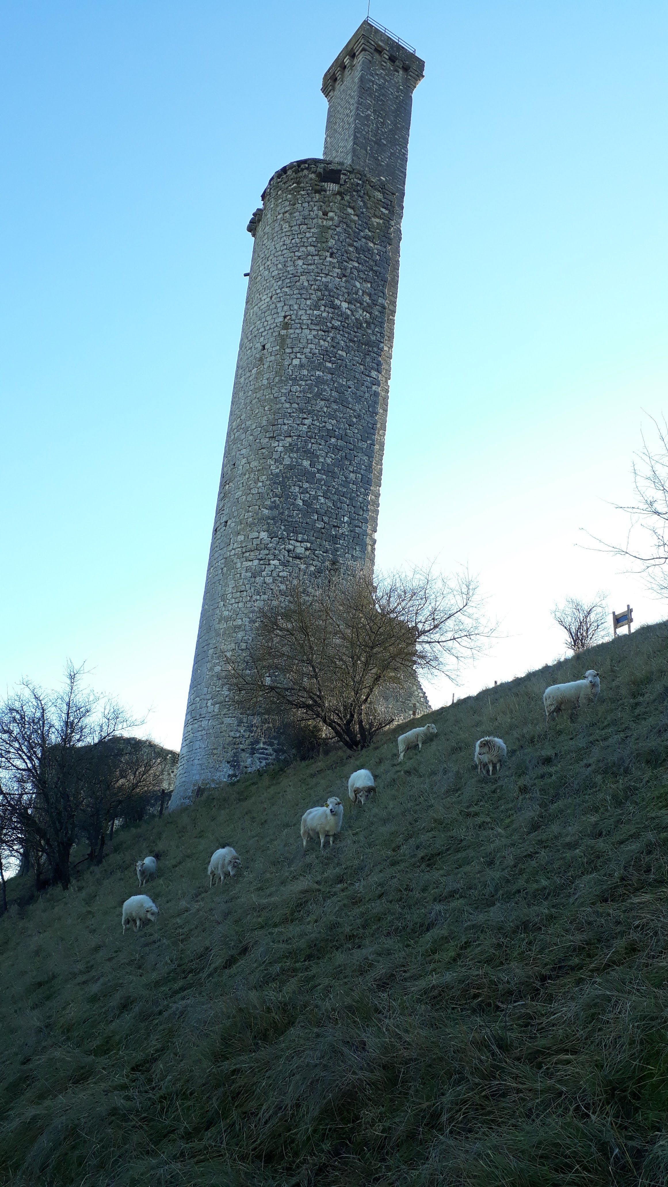 Photo n° 3 de l'avis de alex.a fait le 19/12/2021 à 14:41