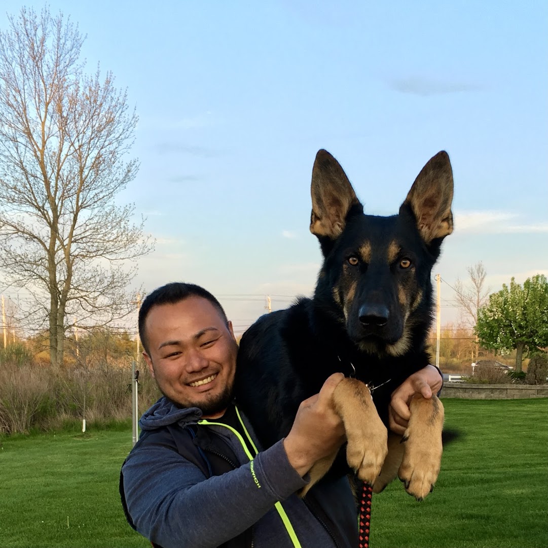 K9 Family Training