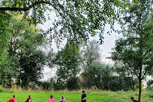 Bootcamp Dordrecht - De Beweegtherapeut