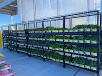 Tractor Supply Co. - Photo 7 - Car repair in Tucson, AZ, Tucson