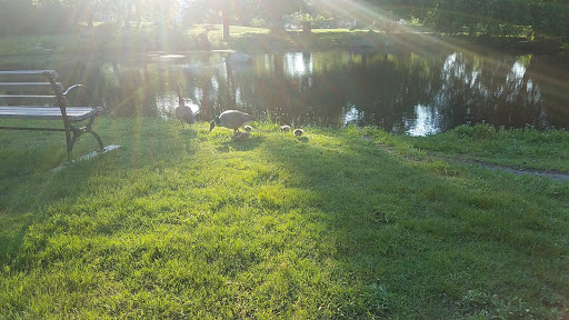 Park «Francis William Bird Park», reviews and photos, 251 Washington St, East Walpole, MA 02032, USA