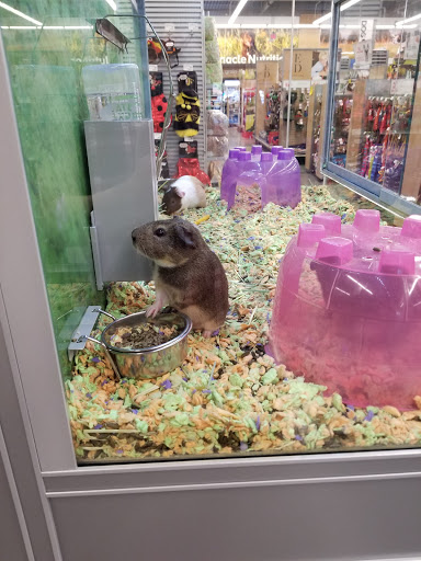 Pet Store «PetSmart», reviews and photos, 14903 4th Ave SW Ste 200, Burien, WA 98166, USA