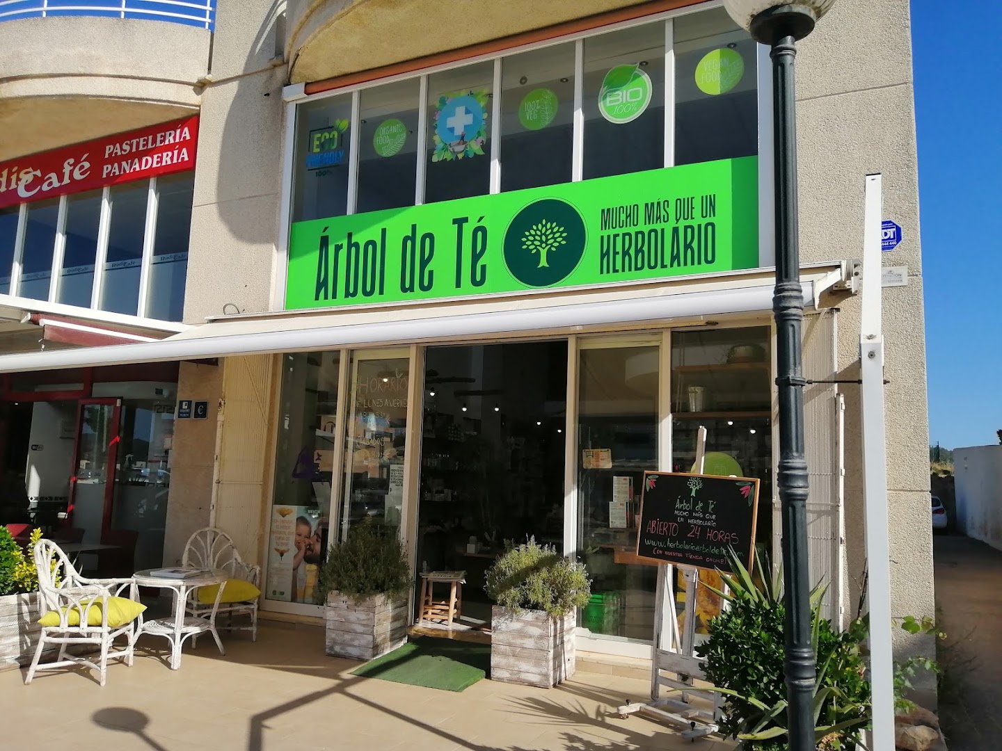 Árbol de Té Ibiza - Tienda ecológica