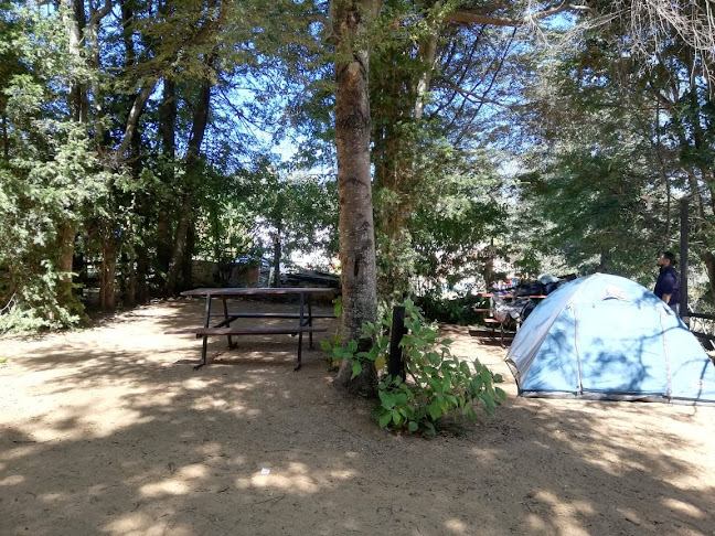 Cabañas y Camping Los Pinos - Camping