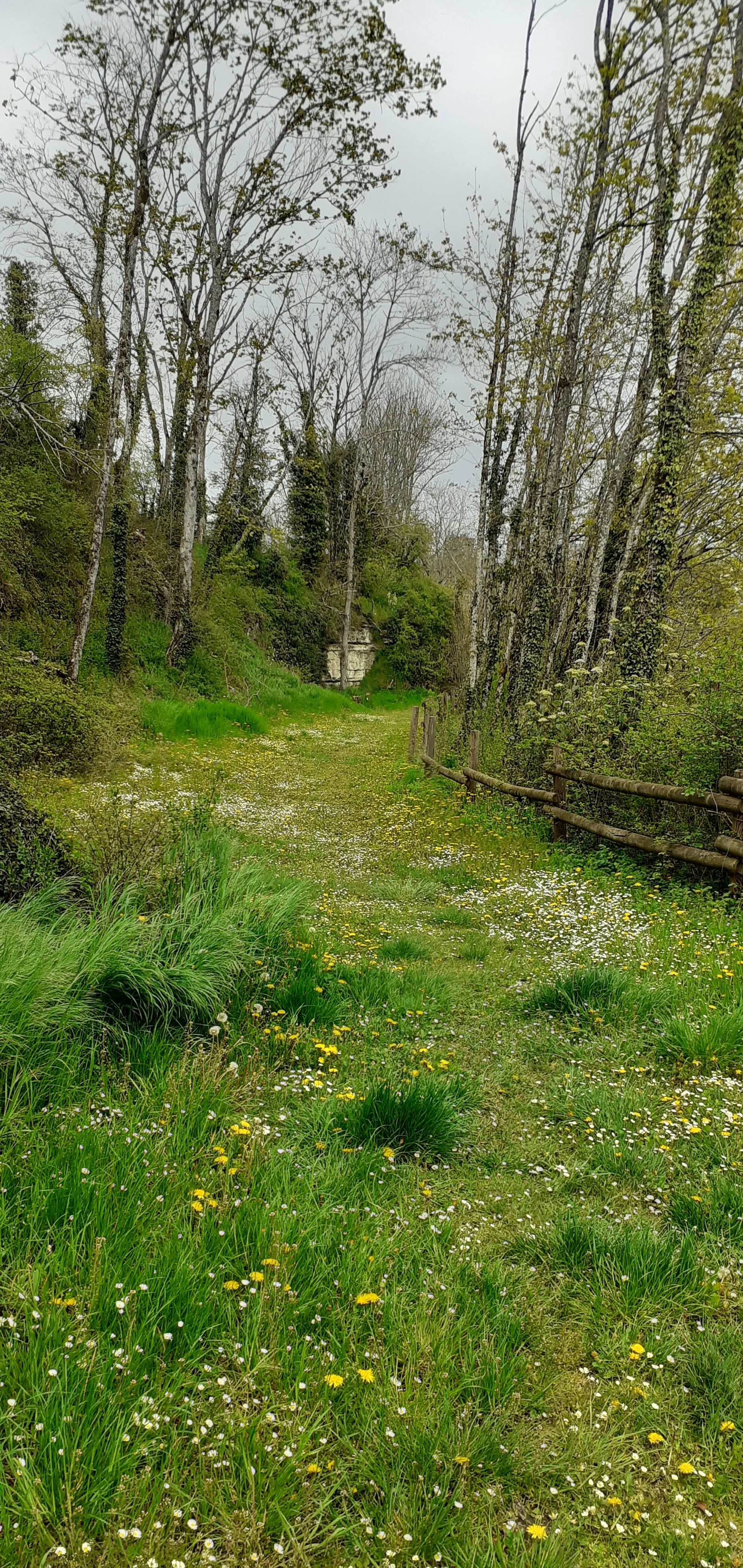 Photo n° 8 de l'avis de Jean.i fait le 22/04/2023 à 18:11