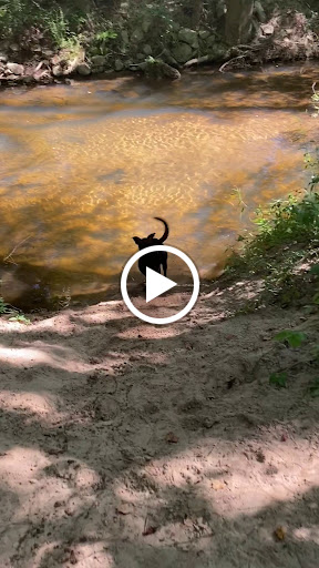 Ice Skating Rink «Pavilion Recreation Complex», reviews and photos, 400 Scottswood Rd, Taylors, SC 29687, USA