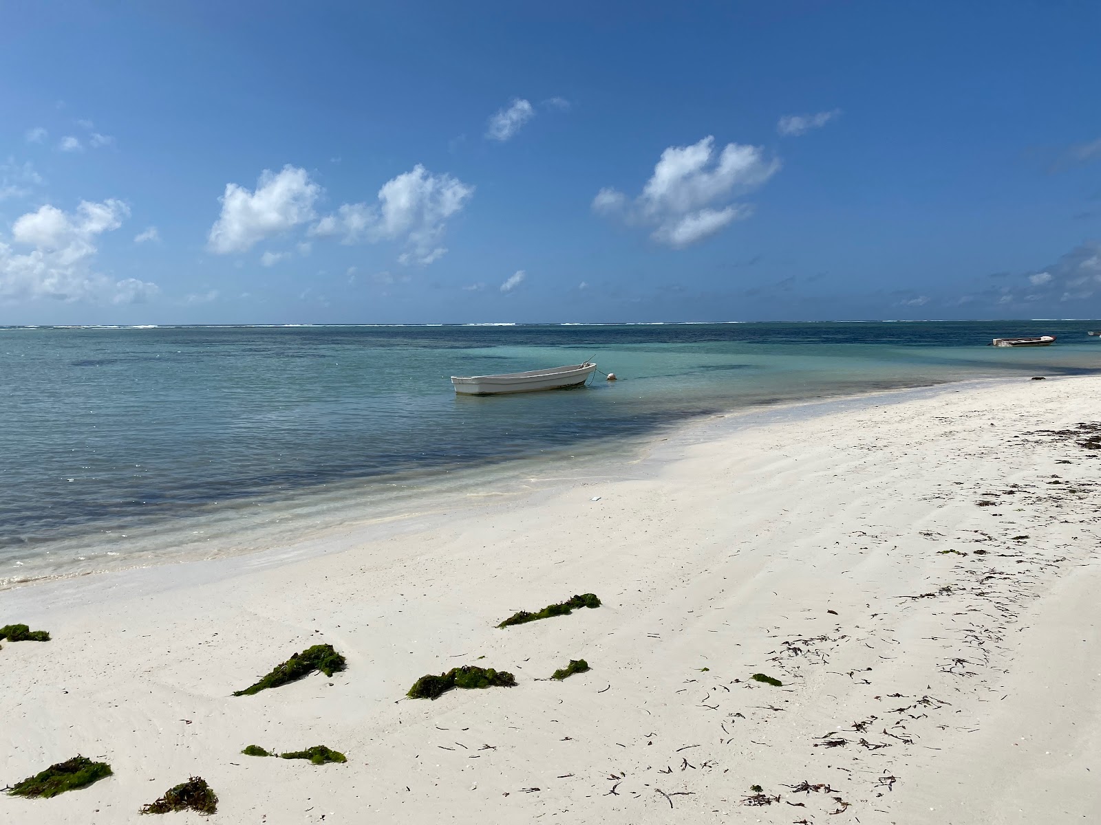 Foto af Kikambala beach med lang lige kyst