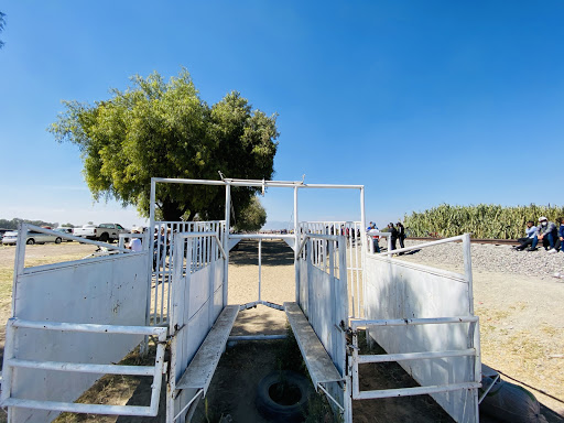 Carril de Carreras de Caballos