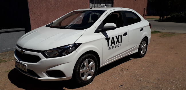 Opiniones de Servicio de taxi en Maldonado - Servicio de transporte