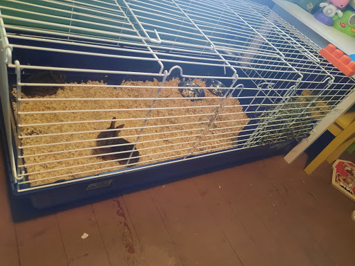 Pet Supply Store «One Stop Country Pet Supply», reviews and photos, 648 Putney Rd, Brattleboro, VT 05301, USA