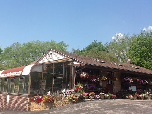 Moles Flower & Gift Shop, 3000 Ridge Pike, Norristown, PA 19403, USA, 